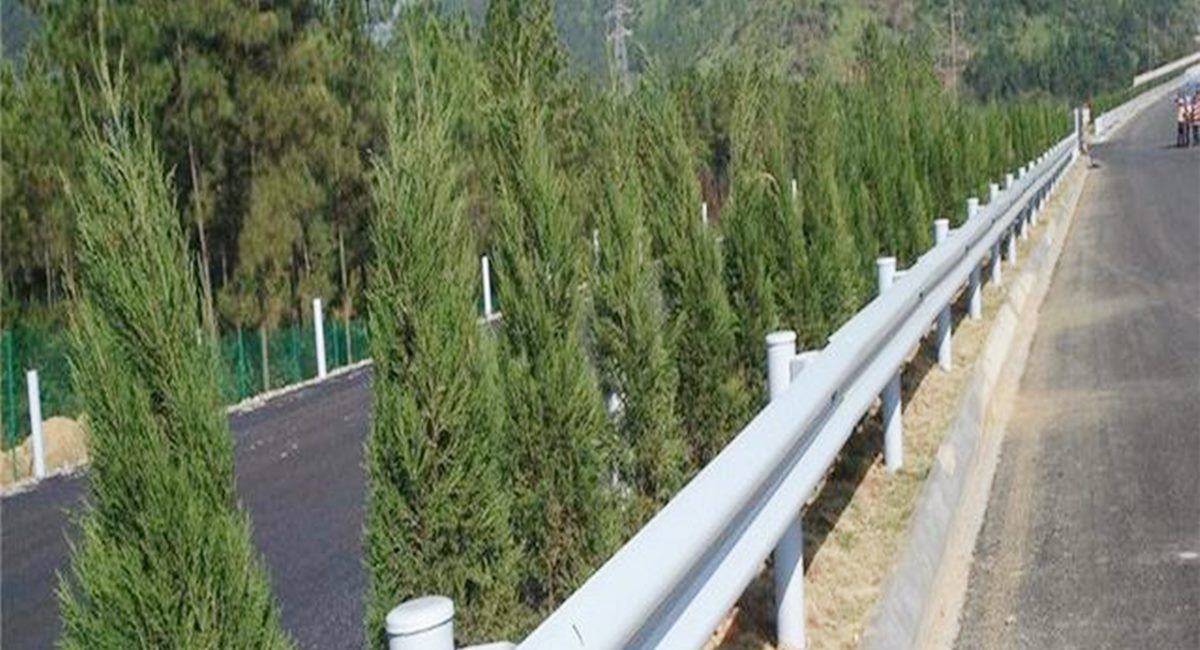 波形护栏板、墟落蹊径护栏、单波护栏板亚星国际加工定制